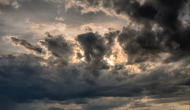 a41c2558-0463-4b10-87de-7823f9ac4350.jpg