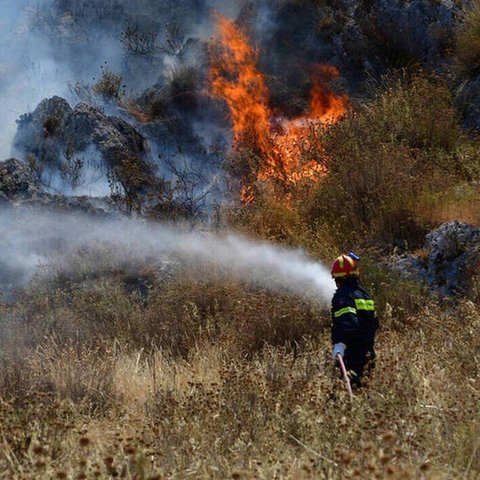 Δασική πυρκαγιά στη Γιαλιά-Στη μάχη και εναέρια μέσα