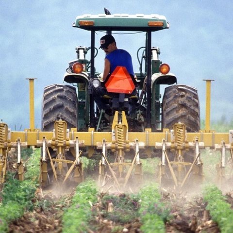 Έκτακτη στήριξη €3,5 εκατ. από ΕΕ σε γεωργούς στην Κύπρο που επλήγησαν από φυσικές καταστροφές