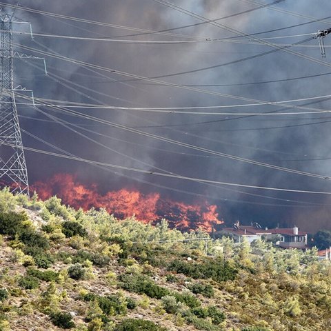 Οδηγίες ΥΠΕΞ προς τους Κύπριους που βρίσκονται κοντά στα πύρινα μέτωπα στην Αττική