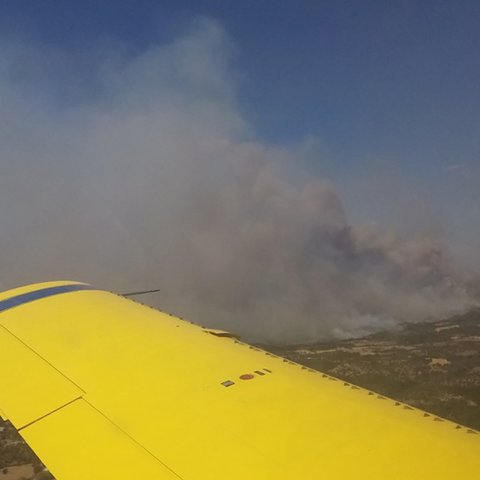 Στη μάχη με τις φλόγες στην Ελλάδα και τα κυπριακά αεροσκάφη (Pic)