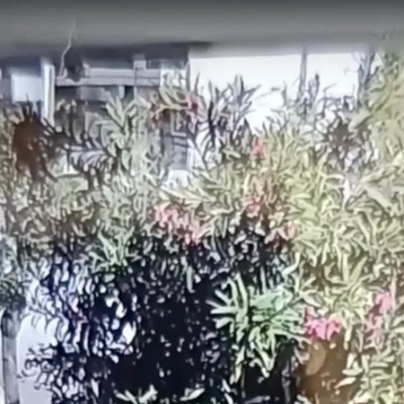 ΒΙΝΤΕΟ: Η στιγμή των πυροβολισμών κατά της θωρακισμένης Mercedes στα Άνω Λιόσια