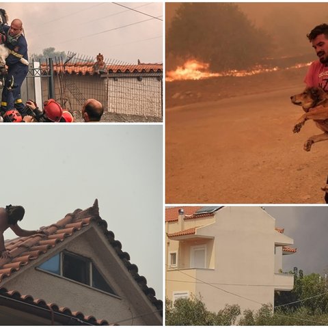 Οι δραματικές στιγμές στην Ελλάδα μέσα από φωτογραφίες