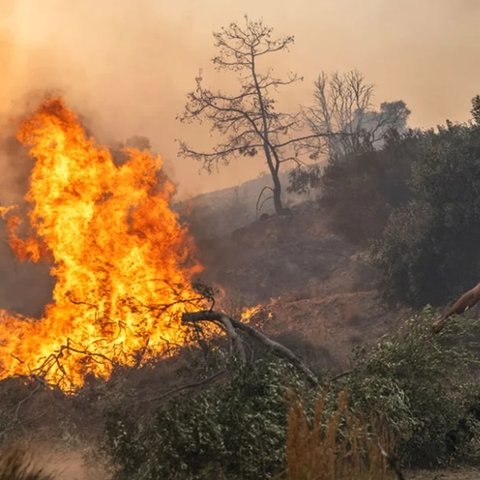 Φυλακή και μεγάλα πρόστιμα ακόμη και για εμπρησμό από αμέλεια στην Ελλάδα