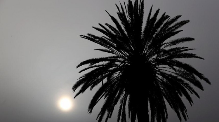 2861f718-1a62-428e-bf72-e0775c7bdbc0.jpg