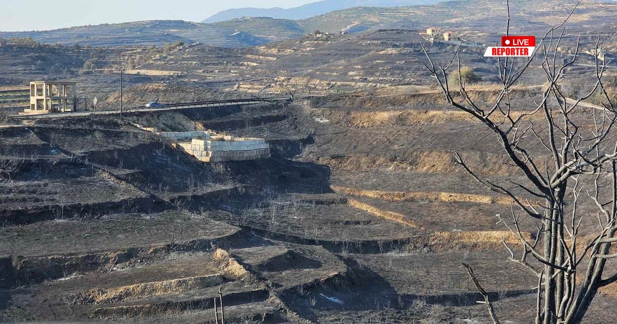 LIVE: Συνεχίζεται η μάχη με τις αναζωπυρώσεις-Σε πλήρη επιφυλακή οι Αρχές LIVE: Συνεχίζεται η μάχη με τις αναζωπυρώσεις-Σε πλήρη επιφυλακή οι Αρχές