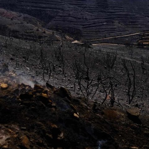 Ενώπιον Υπουργικού τα πρώτα σχέδια αποζημιώσεων-Αρχές Αυγούστου κατακυρώνεται η προσφορά για σύστημα έγκαιρης προειδοποίησης