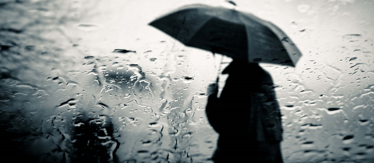 a6b8c554-0806-43fb-bf62-42e06cc0f96f.jpg