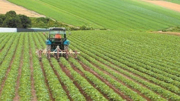 agriculture_