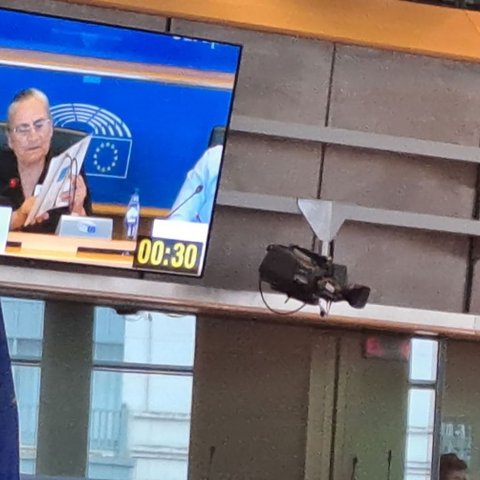 Ρίγος από τη δήλωση της Χαρίτας Μάντολες στο Ευρωκοινοβούλιο-«Οι κραυγές, οι φωνές είναι μέσα στα αυτιά μου δεν μπορώ να τις ξεχάσω»