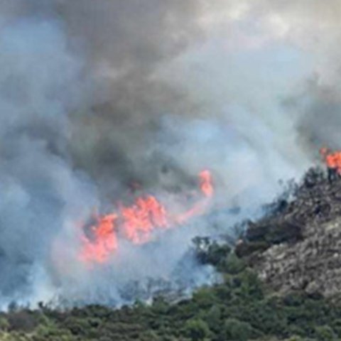 BINTEO: Πυρκαγιά μεταξύ των κοινοτήτων Αγίου Ιωάννη και Σαλαμιού-Πνέουν ισχυροί άνεμοι στο σημείο