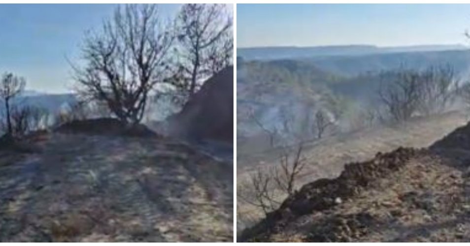 Υπό έλεγχο η πυρκαγιά μεταξύ Λιμνάτη και Λάνειας-Κατέκαψε επτά εκτάρια γης