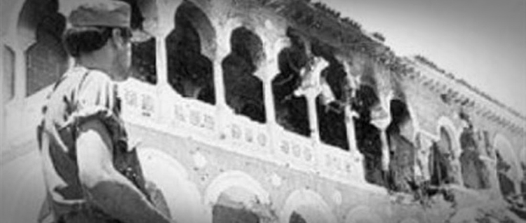 d2f9496a-7d0b-4274-8002-e50e1ec8d523.jpg