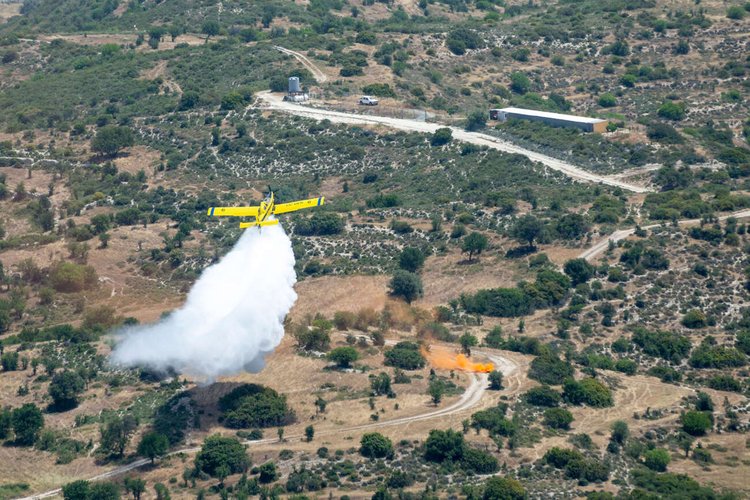 DOC.20230524.5012761.pyrsos231