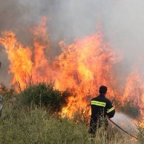 Υπό έλεγχο τέθηκε η πυρκαγιά στην κοινότητα Ανάγυιας