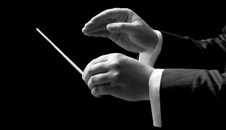 maestros_252863_265379_type13262