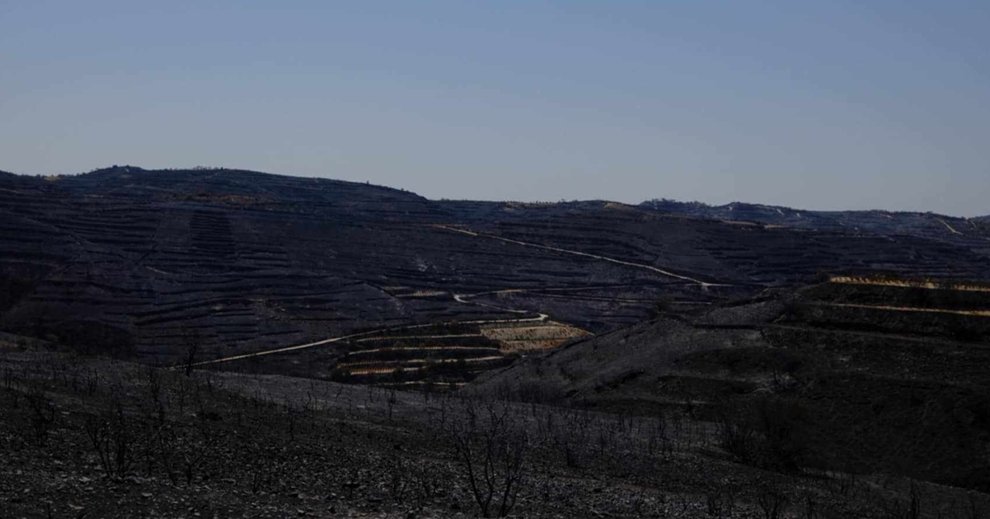 Καταθέτει απόψεις και συμπεράσματα για το συντονισμό της φονικής πυρκαγιάς το Τμήμα Δασών