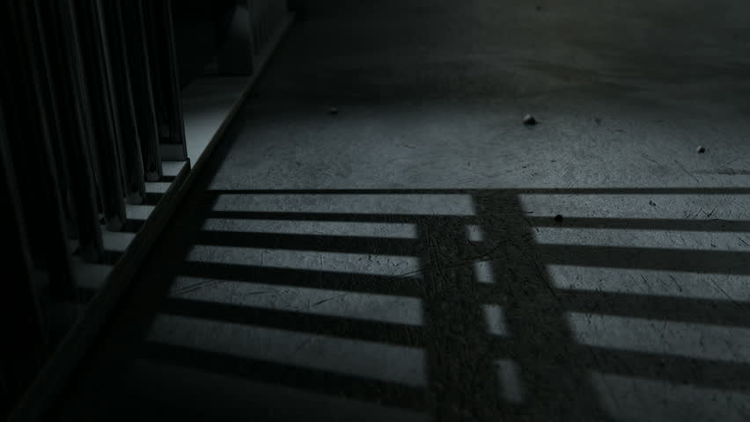 54f0f76d-e674-45db-9516-58815e3d8001.jpg