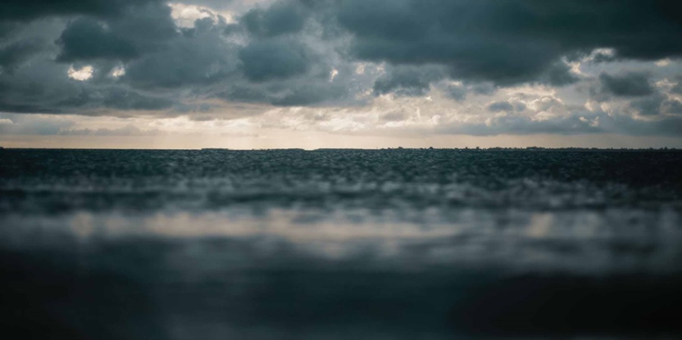 1e0a3413-a72a-43ad-847b-33457a4e58bd.jpg