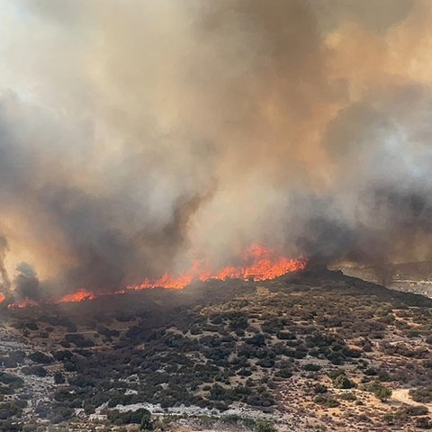 Δύσκολη η μάχη για περιορισμό της πυρκαγιάς λόγω ανέμων-Ισχυρές δυνάμεις στη μάχη