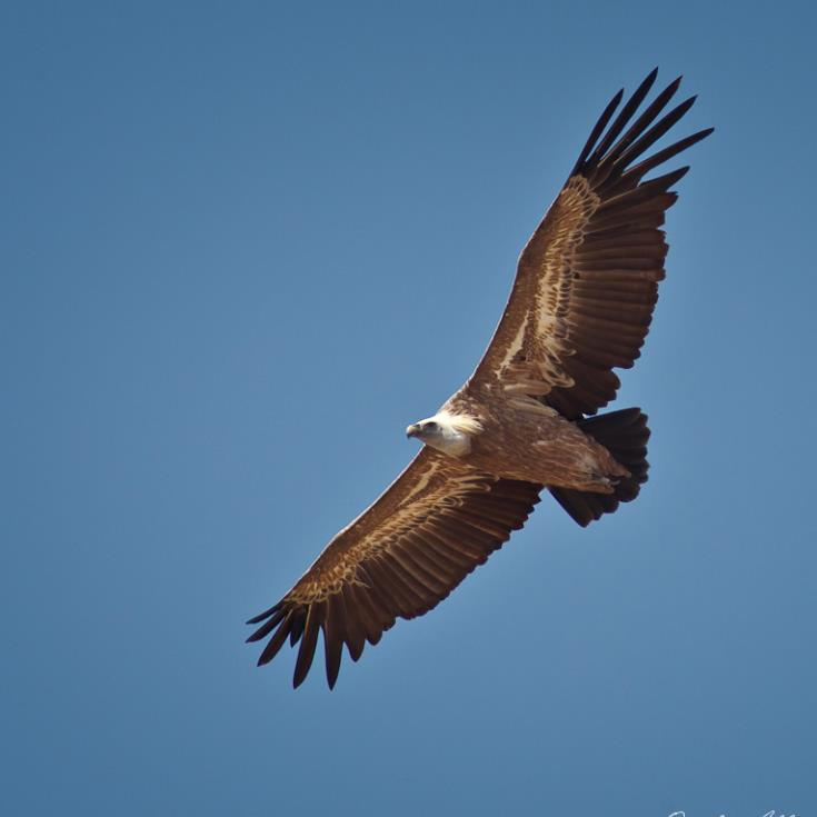 9208f8bc-97c8-4eb7-bba8-b52238daada4.jpg