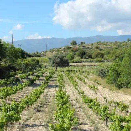 ΔΗΠΑ: Θετικά τα μέτρα της Κυβέρνησης για αντιμετώπιση της λειψυδρίας