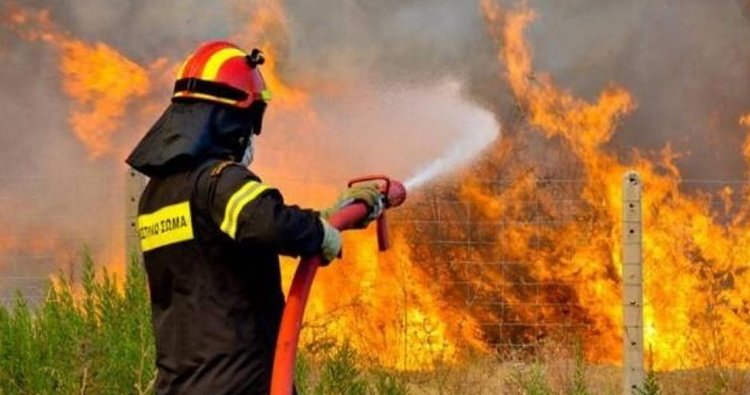 Πυρκαγιά σε δύσβατη περιοχή στην Πάφο–Πρόλαβαν τα χειρότερα οι δυνάμεις πυρόσβεσης