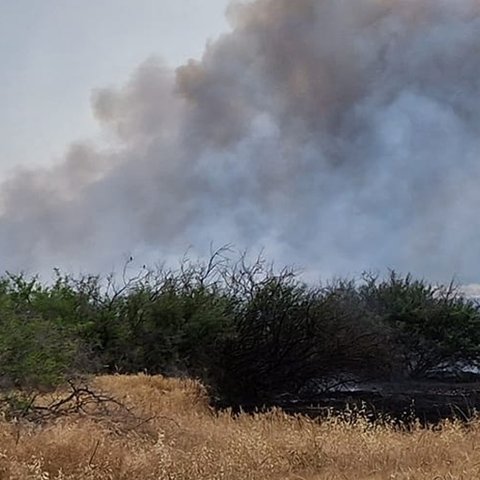 Πυρκαγιά σε ξηρά χόρτα και άχρηστα υλικά κοντά στον Τύμβο Μακεδονίτισσας