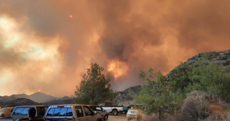 Δεν συμμετέχει σε κανένα πρόγραμμα της Κομισιόν για πρόληψη δασικών πυρκαγιών η Κύπρος