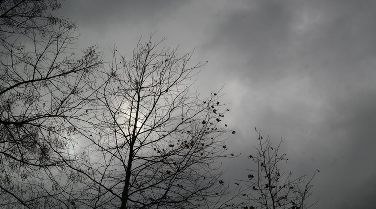 847ab64d-a243-439f-9e33-04b3861963db.jpg