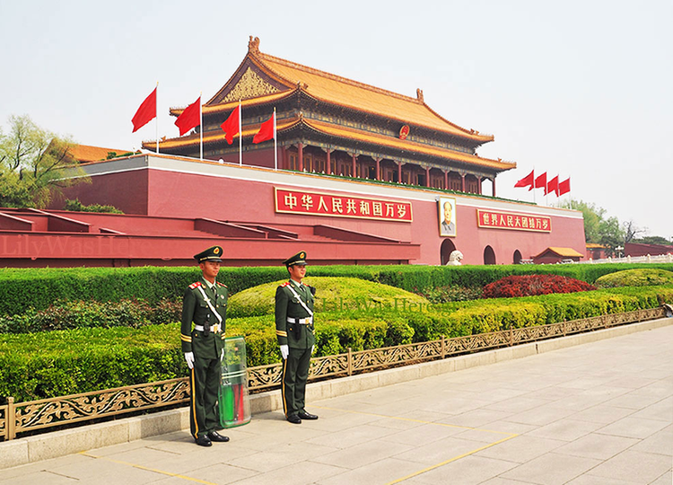 8e3147cd-fe81-42a5-b1d7-5a937881a59c.jpg