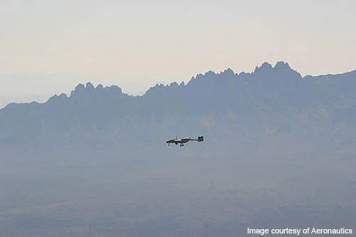 image_2023-05-25_125635719