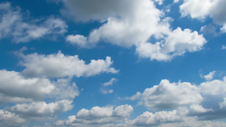 12d988ef-10ac-496a-be4c-3a0a16881e6c.jpg