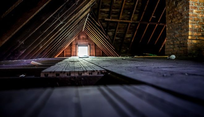 6146e6ec-c801-444e-af73-39c8237c54b8.jpg