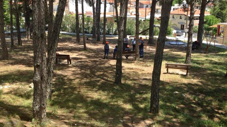 d72a3c97-9f08-4923-b7d3-82009b007ce4.jpg