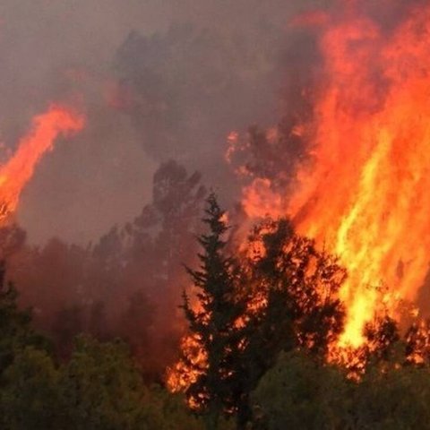 Με το νέο χρόνο στην Ολομέλεια τα νομοσχέδια για πρόληψη και κατάσβεση των πυρκαγιών