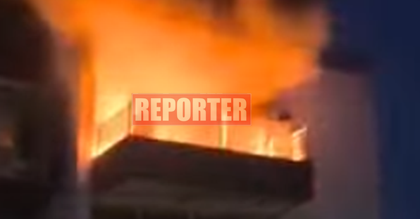 Διασώθηκε σκυλάκι από την φωτιά στο διαμέρισμα στη Λακατάμια-Απουσίαζαν οι ένοικοι