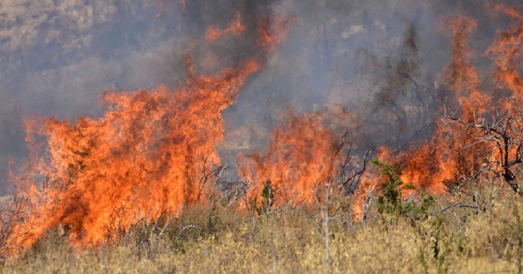 Ηλικιωμένος παραδέχθηκε ότι εκτελούσε εργασίες και προκάλεσε τη φωτιά στις Δύμες Ηλικιωμένος παραδέχθηκε ότι εκτελούσε εργασίες και προκάλεσε τη φωτιά στις Δύμες