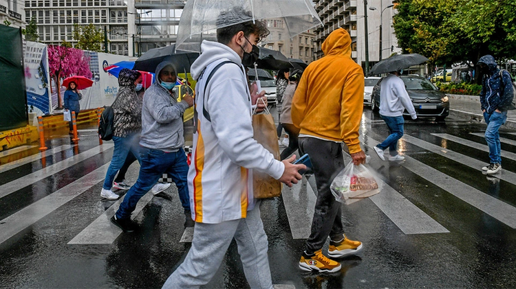 03490f19-f0b6-4b83-a2f0-162aec14e9c6.jpg