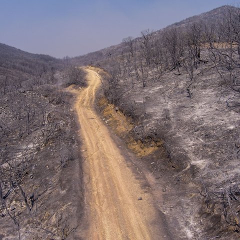 Περισσότερα από 1.200.000 στρέμματα έχουν καεί στην Ελλάδα το φετινό καλοκαίρι