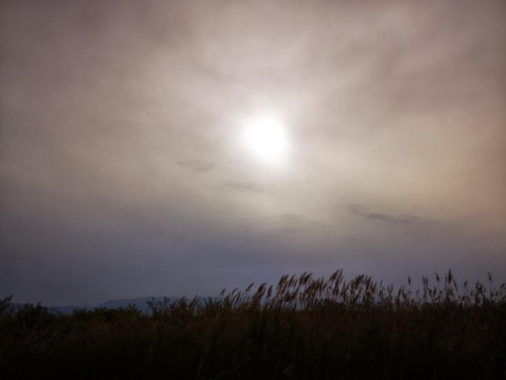 d787f096-346e-4dfd-a44f-aa99dda44b10.jpg