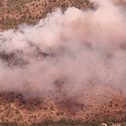 Απειλήθηκαν κατοικίες και υποστατικά από τη φωτιά στο Παλαιχώρι-Τέθηκε υπό έλεγχο