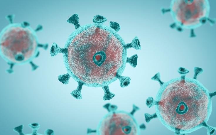 Coronavirus (COVID-19) information