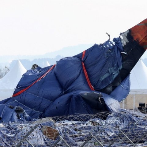 Βρέθηκαν φτερά πουλιών στους κινητήρες του αεροπλάνου που συνετρίβη στη Νότια Κορέα