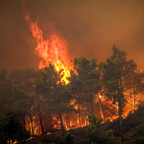 Αναζωπυρώσεις σε Έβρο, Πάρνηθα, Βοιωτία-Στις 122 οι πυρκαγιές σε όλη την Ελλάδα