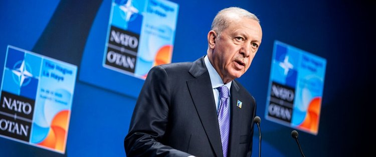 erdogan_maketa