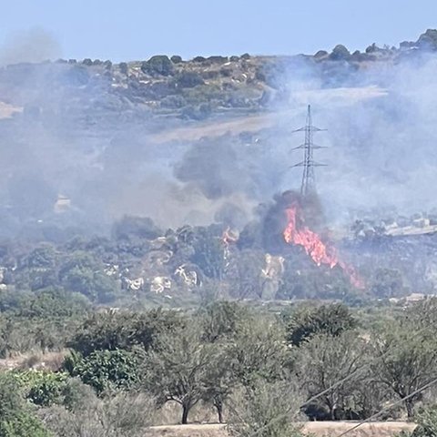 Εντοπίστηκε ένας σκύλος νεκρός, αγνοείται δεύτερος μετά την πυρκαγιά στη Γιόλου