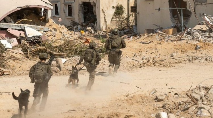 idf_gaza_new