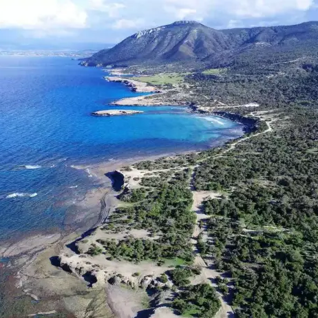 Το 40% της χλωρίδας της Κύπρου βρίσκεται στον Ακάμα-Στα 650 τα ιθαγενή φυτά