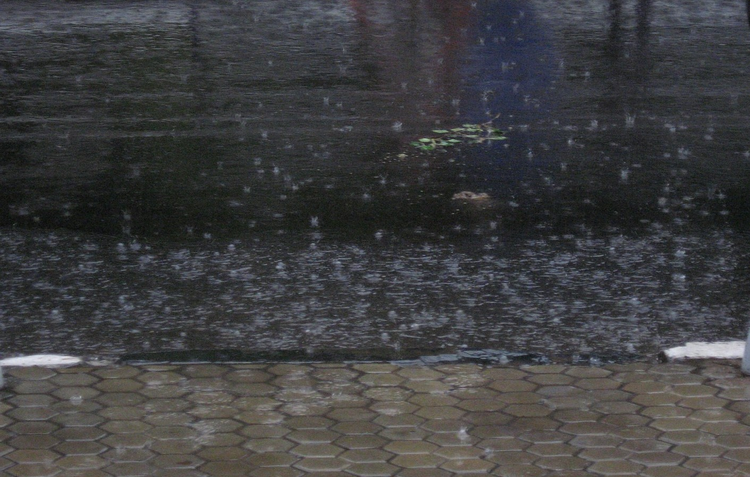942f3c54-1783-4c96-9afd-c2796324486a.jpg